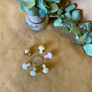 Mini Agates and Quartz Mushies Bundle